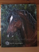 /album/fotogalerie-jina-tvorba/img-7891-s-w-a-jm-jpg/